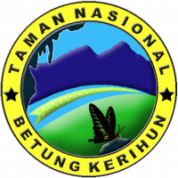TNBK1 TNBK1