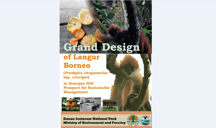 Grand Design Langur Borneo