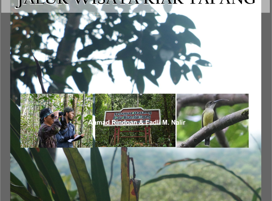 Jalur Wisata Riak Tapang