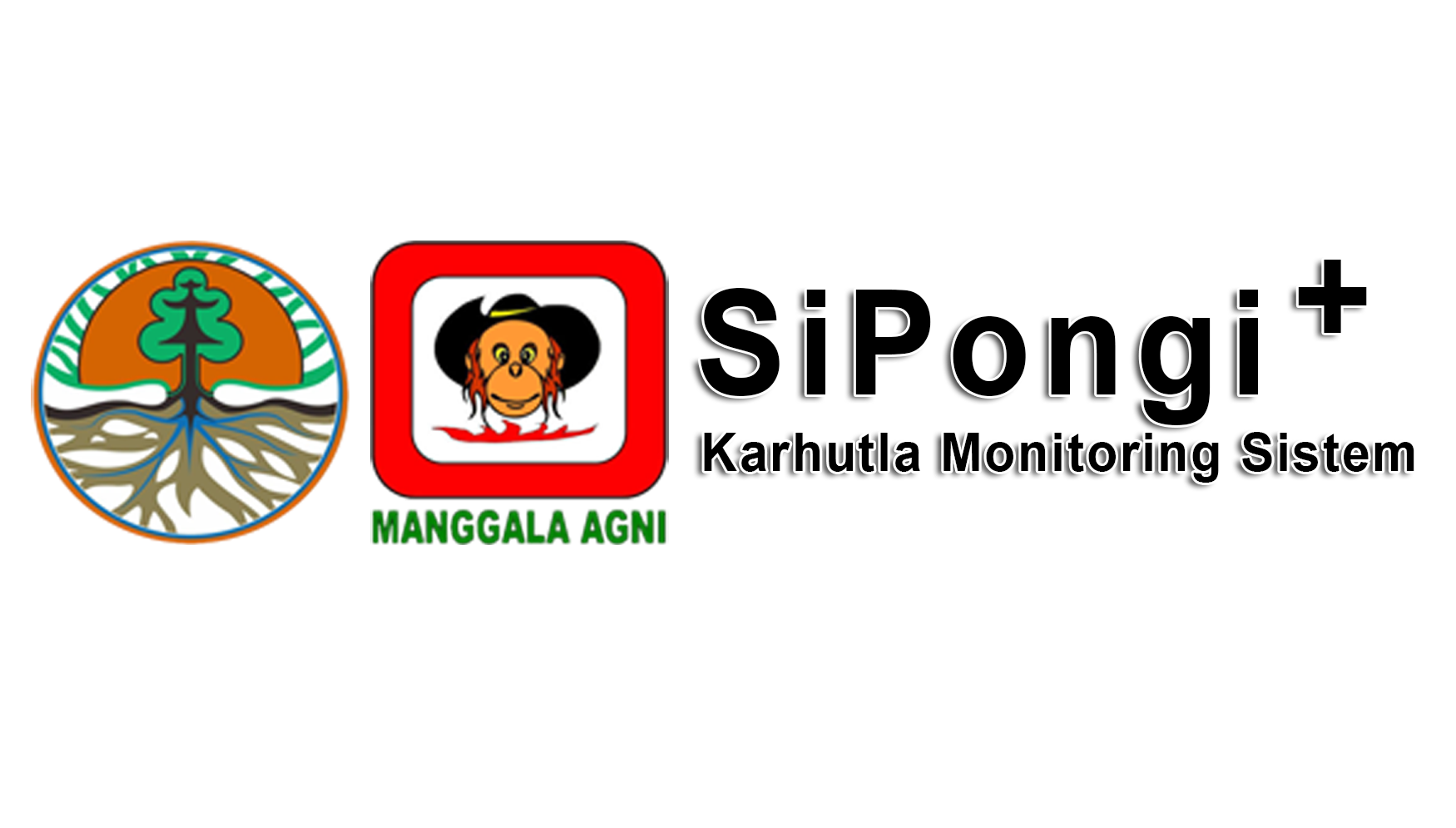 Sipongi