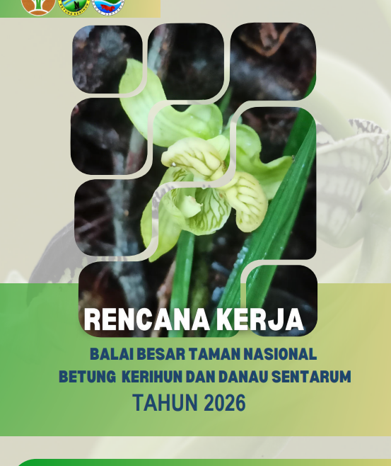 Rencana Kerja 2026