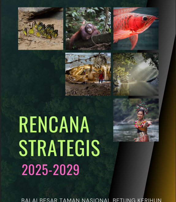 Rencana Strategis 2025 – 2029